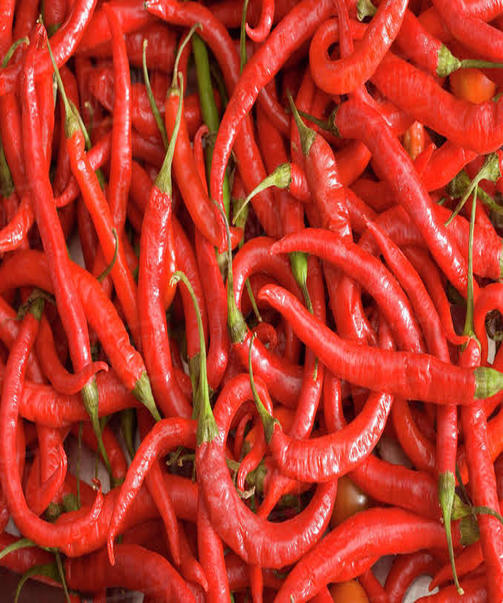Chili Pepper Supplier  Nigerian Pepper Market Place